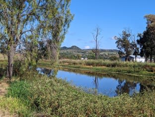 Click to view all images 709 Gatton Clifton Road Ma Ma Creek QLD 4347 - Image 3