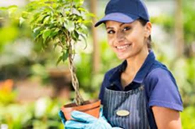 Import, Export & Wholesale  business for sale in Gold Coast Greater Region QLD - Image 3