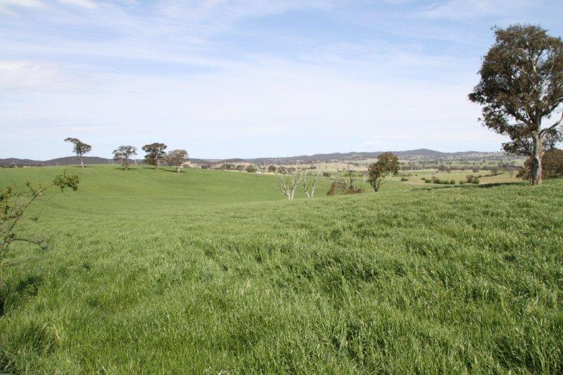 Click to view all images 3/83 Yass Valley Way Manton NSW 2582 - Image 3