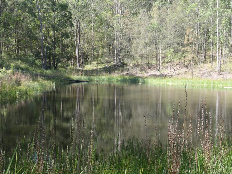 Click to view all images 20 Frames Road Tabulam NSW 2469 - Image 2