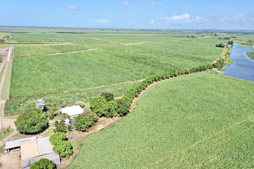 Click to view all images 67 Hillier Road Brandon QLD 4808 - Image 2