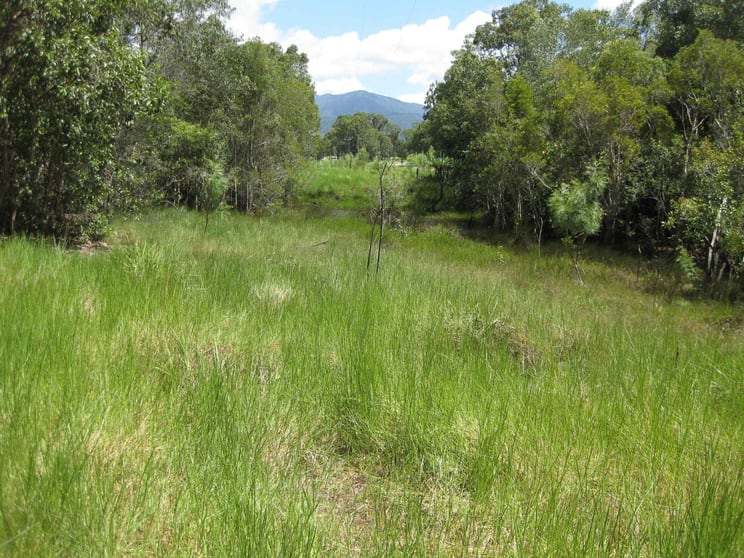 Click to view all images - Bluff Road Bilyana QLD 4854 - Image 3