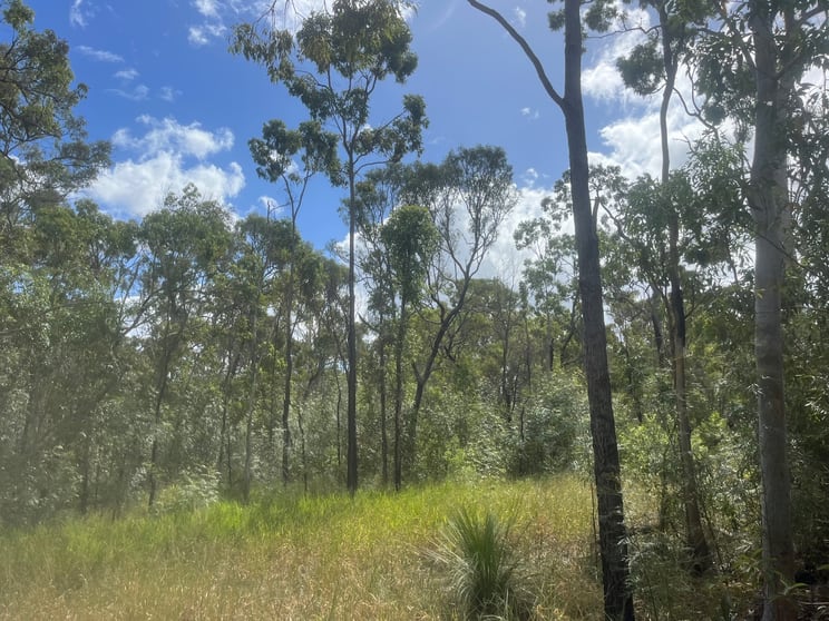 Click to view all images Lot 46/0 WHYTALLABAH Rd Euleilah QLD 4674 - Image 3