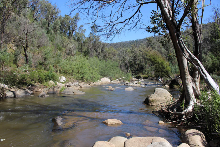 Click to view all images Lot 1-3 Tumbarumba Creek Road Tooma NSW 2642 - Image 2