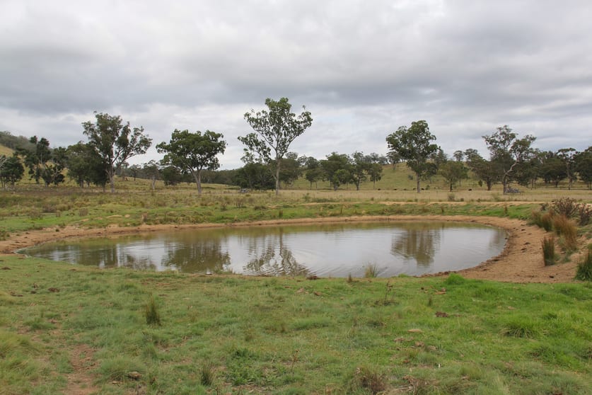 Click to view all images 585 Sunnyside Loop Road Tenterfield NSW 2372 - Image 2