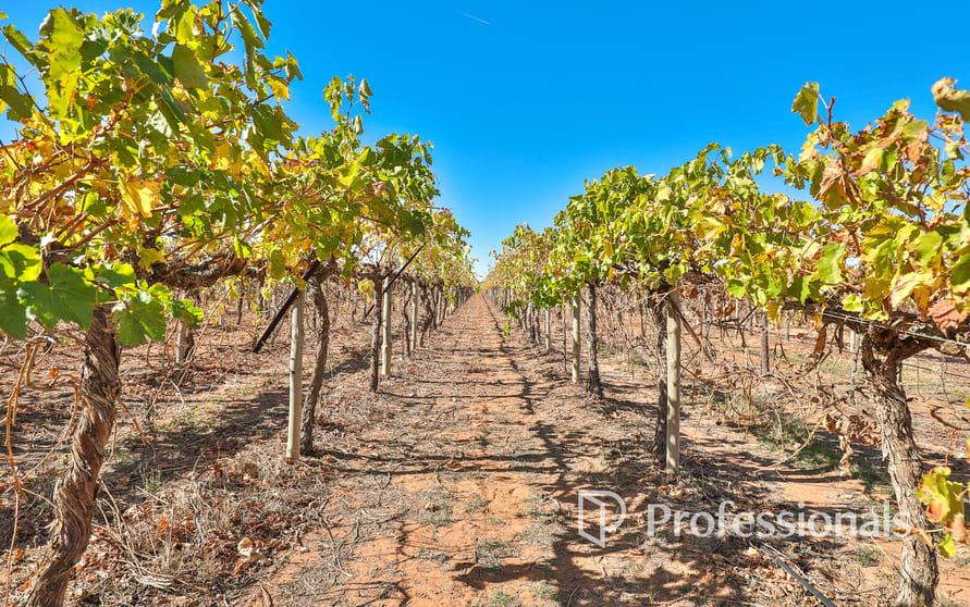 Click to view all images 194 Fifth Street Merbein VIC 3505 - Image 2