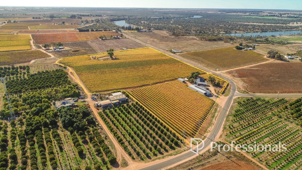 Click to view all images 431 Woomera Avenue Red Cliffs VIC 3496 - Image 1