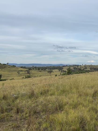 Click to view all images 804 Old Yullundry Road Yullundry NSW 2867 - Image 2