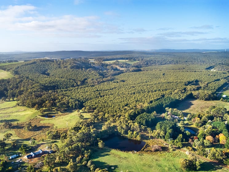 Click to view all images 275 Dean-Barkstead Road Rocklyn VIC 3364 - Image 3