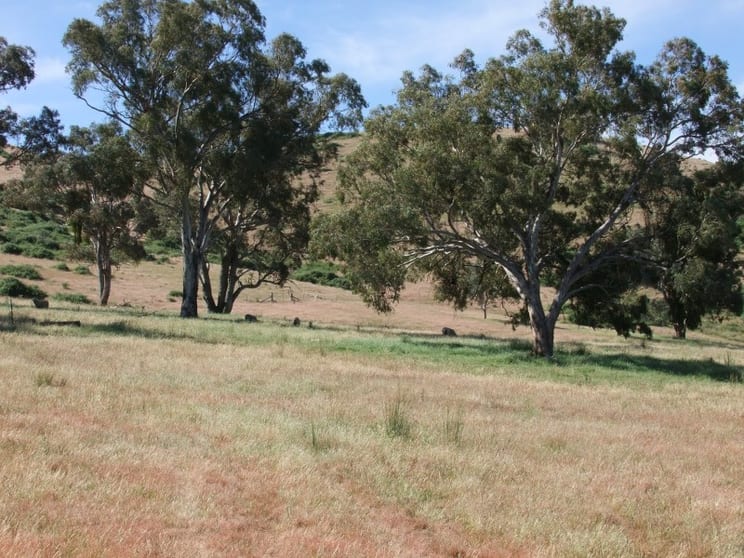 Click to view all images 2483 Freemantle Road Bathurst NSW 2795 - Image 2