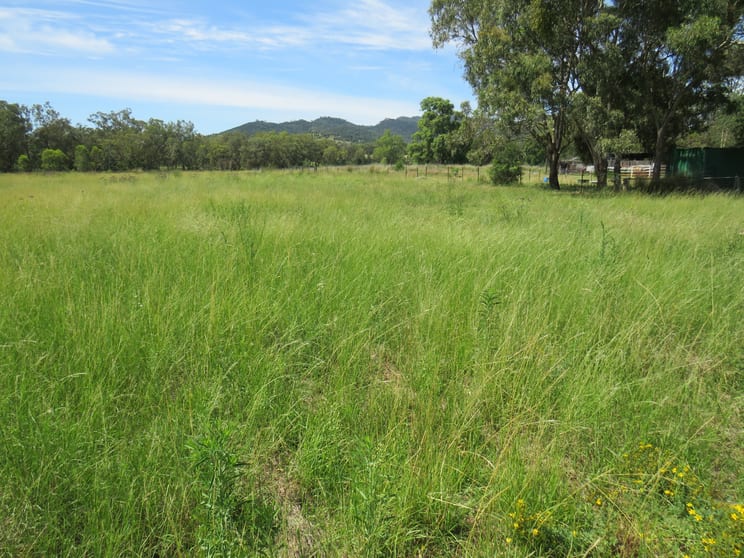 Click to view all images "Long Green" 12 Curra Stock Route Road Currabubula NSW 2342 - Image 3