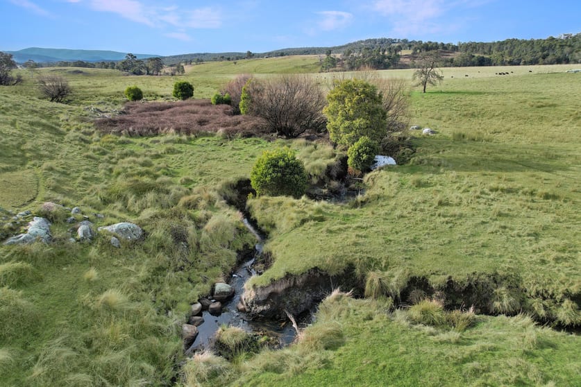 Click to view all images 145 Waterhole Gully Road Bonang VIC 3888 - Image 2