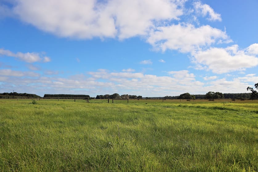 Click to view all images 5850 Clay Wells Road Wattle Range SA 5280 - Image 2