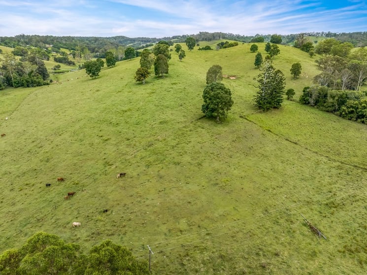 Click to view all images Lots 13 & 22 Sandy Creek Road Veteran QLD 4570 - Image 3