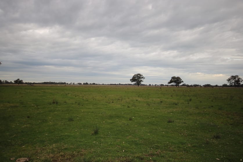 Click to view all images 95 Doolan Road Kyabram VIC 3620 - Image 3