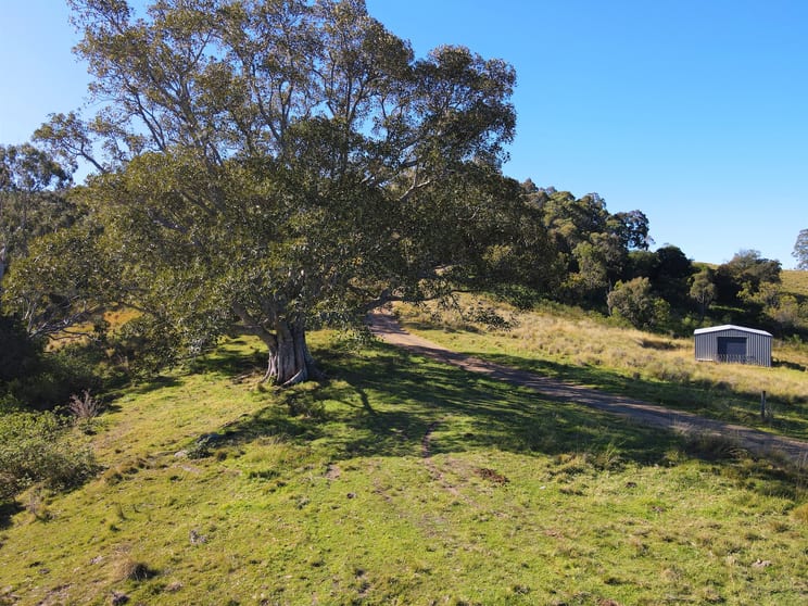 Click to view all images 316 Parishs Road Dungog NSW 2420 - Image 2