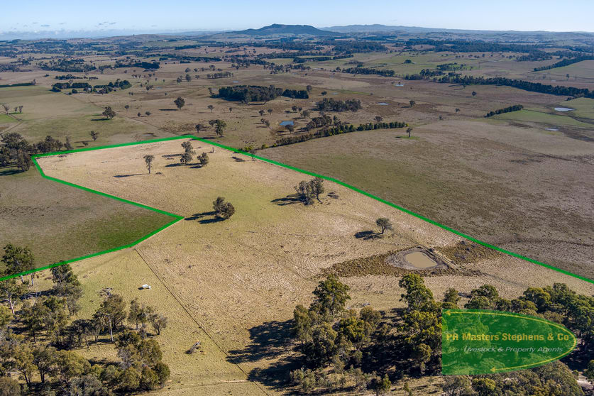 Click to view all images 367 Neville Trunkey Road Neville NSW 2799 - Image 1