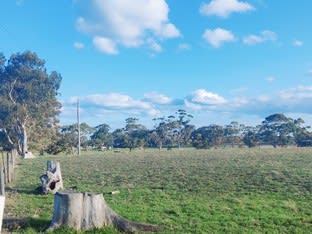 Click to view all images Lot 382 Paterson Road Monjingup WA 6450 - Image 2