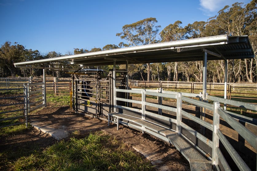 Click to view all images 217 Summers Road Maybole NSW 2365 - Image 2