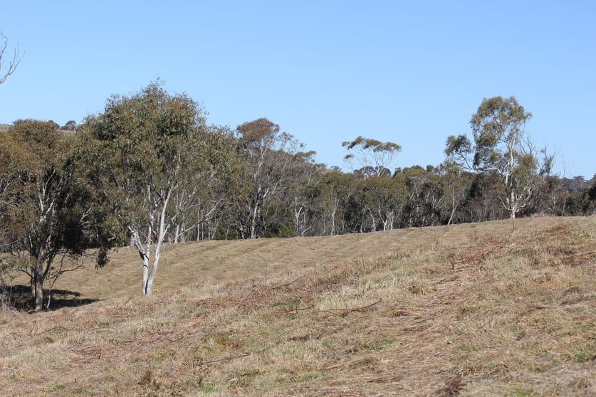 Click to view all images Lot 2 Old Western Road Rydal NSW 2790 - Image 3