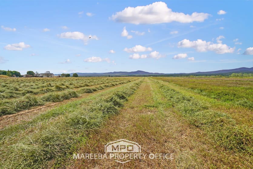 Click to view all images 523 Mutchilba Road Mutchilba QLD 4872 - Image 2