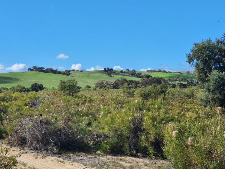 2893 Bindoon- Moora Road Mindarra WA 6503 - Image 2