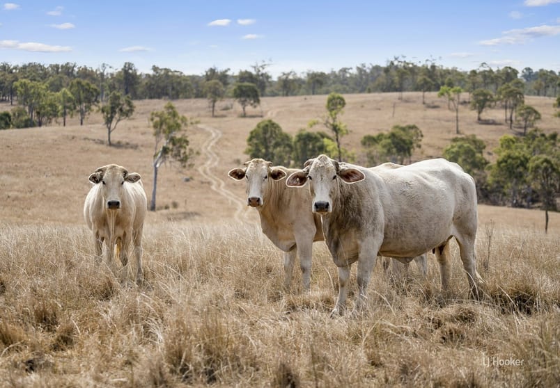 Click to view all images Lot 1 & 34 D'Aguilar Highway Yarraman QLD 4614 - Image 3