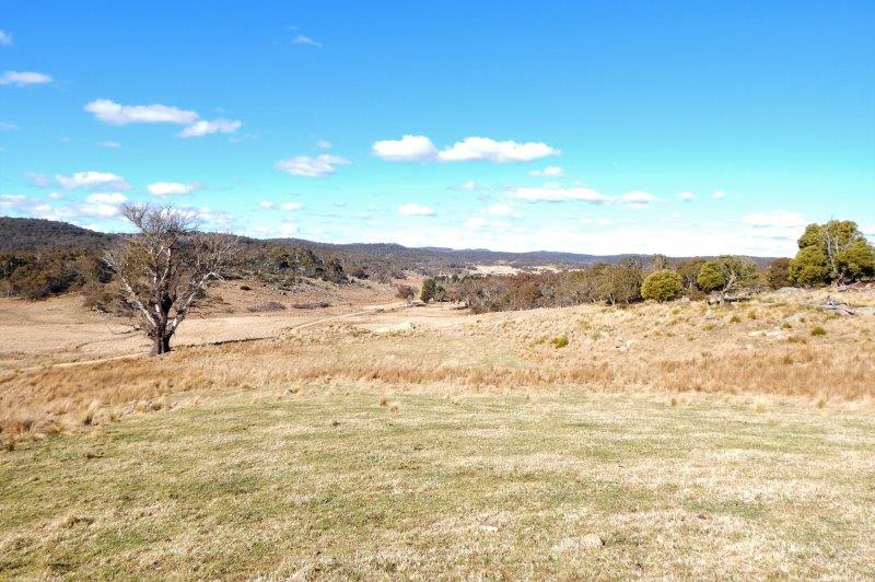 Click to view all images Lot 13 Hains Road Kybeyan NSW 2631 - Image 1