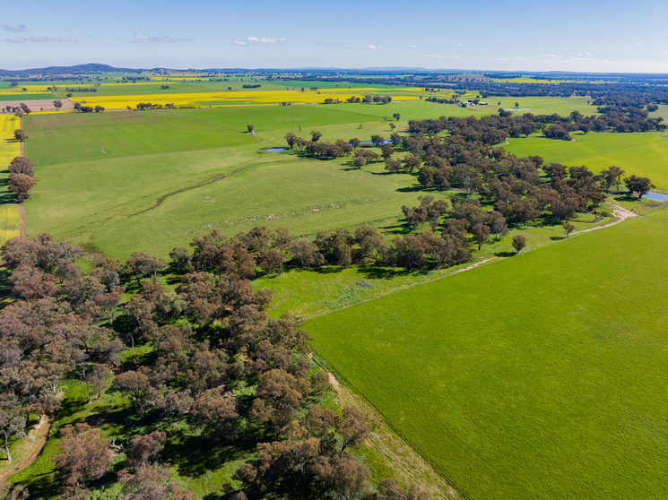 Click to view all images 6 Dudauman Road Stockinbingal NSW 2725 - Image 1