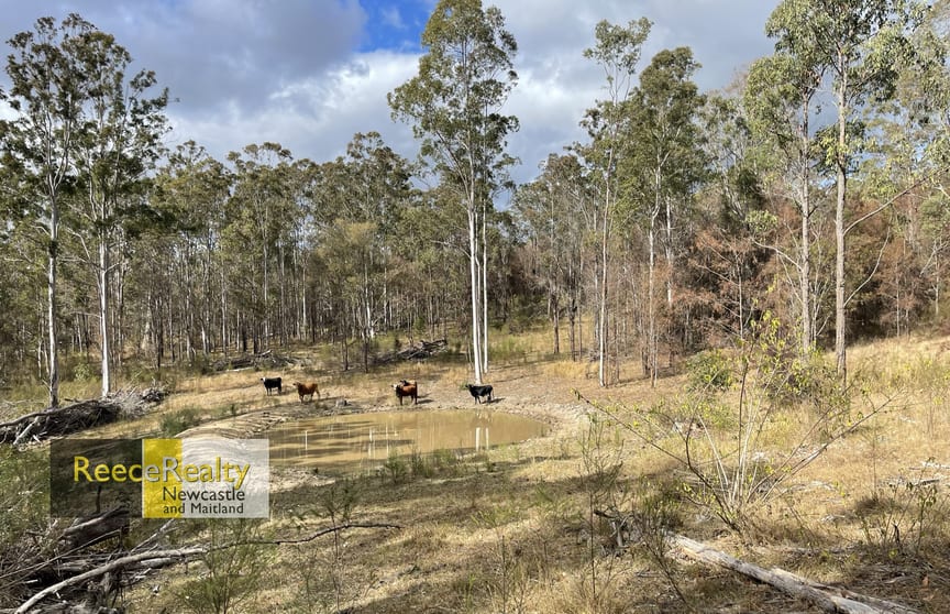 Click to view all images Lot 597 Willi Willi Road Temagog NSW 2440 - Image 1