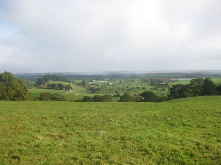 Click to view all images Lot 2 Trowutta Road Edith Creek TAS 7330 - Image 1