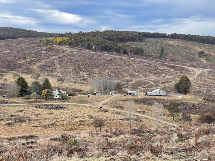 Click to view all images Craigie 1 Stewarts Road Delegate NSW 2633 - Image 1