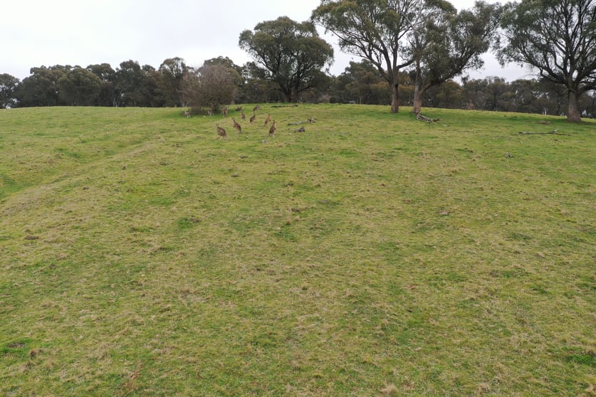 25 Iron Mine Road Crookwell NSW 2583 - Image 3