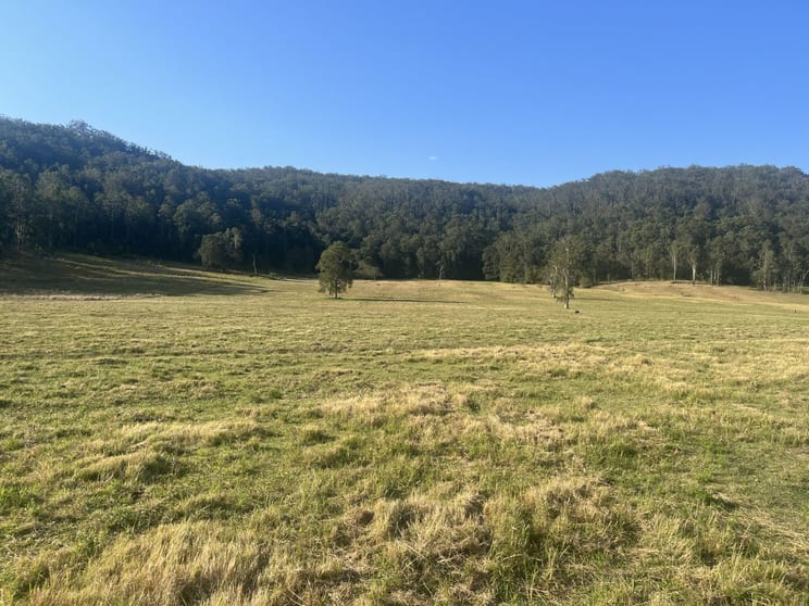 Click to view all images 2374 Upper Mongogarie Road Upper Mongogarie NSW 2470 - Image 1