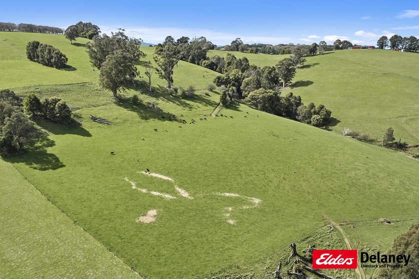 Click to view all images 57 Hamono Road Neerim VIC 3831 - Image 2