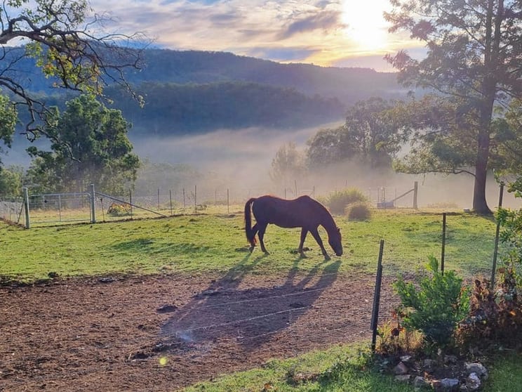Click to view all images 253 Eaglehawk Trail Yarrowitch NSW 2354 - Image 3