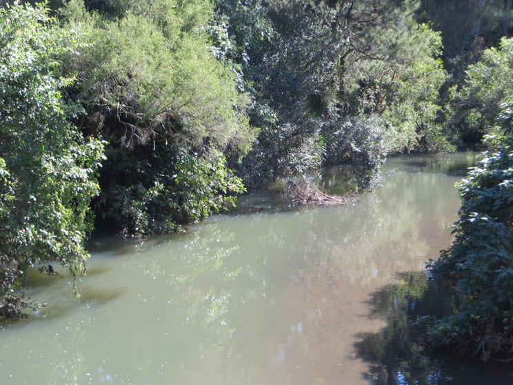 Click to view all images 8/175 Mud Flat Road Drake NSW 2469 - Image 1