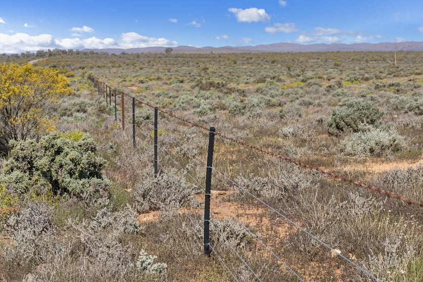 Click to view all images Yendoran & Yappala Flinders Ranges Way Hawker SA 5434 - Image 2