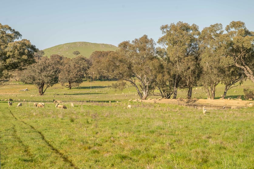 Lot/4 Garryowen Road Binalong NSW 2584 - Image 2