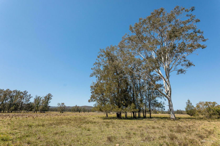 Click to view all images 71 Red Root Road Pillar Valley NSW 2462 - Image 1