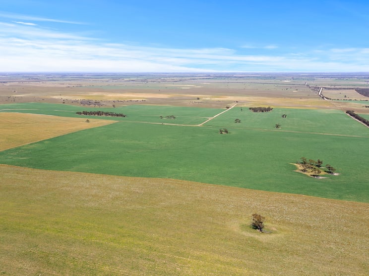 769 Heym Road Wynarka SA 5306 - Image 1