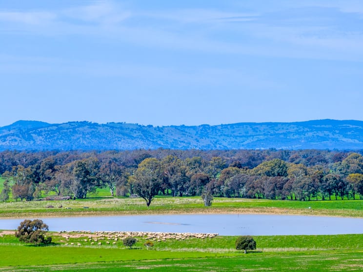 Click to view all images 1350 Geodetic Road Euroa VIC 3666 - Image 1