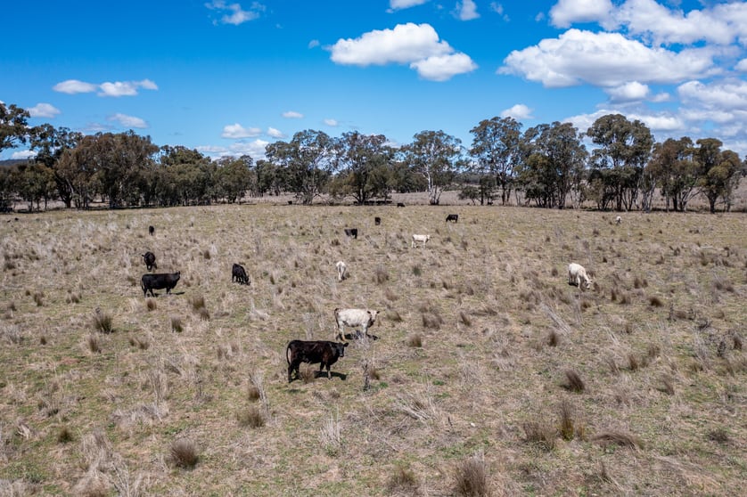 Click to view all images Lot 206 //45 Bayly Lane Mudgee NSW 2850 - Image 2