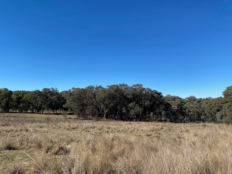 Click to view all images 129 Newell Highway Coonabarabran NSW 2357 - Image 2