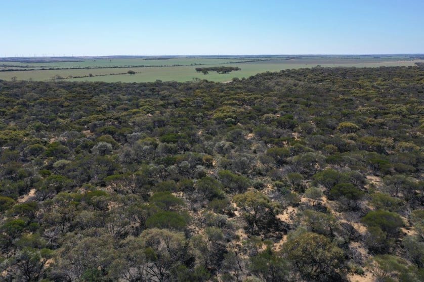 Lot 25253 Ellery Road South Burracoppin WA 6421 - Image 1