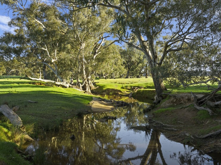 Click to view all images 530 Benalla-Tatong Road Benalla VIC 3672 - Image 1