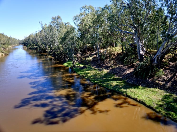 Click to view all images 138 River Road Moree NSW 2400 - Image 3