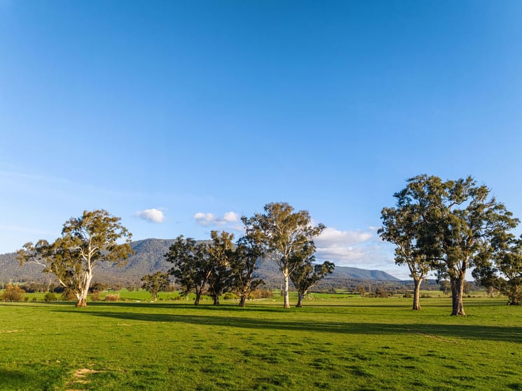 Click to view all images 1036 Taggerty - Thornton Road Thornton VIC 3712 - Image 2