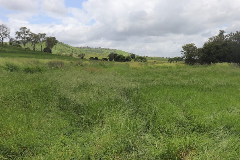 Click to view all images 145 Hetheringtons Road Dallarnil QLD 4621 - Image 1