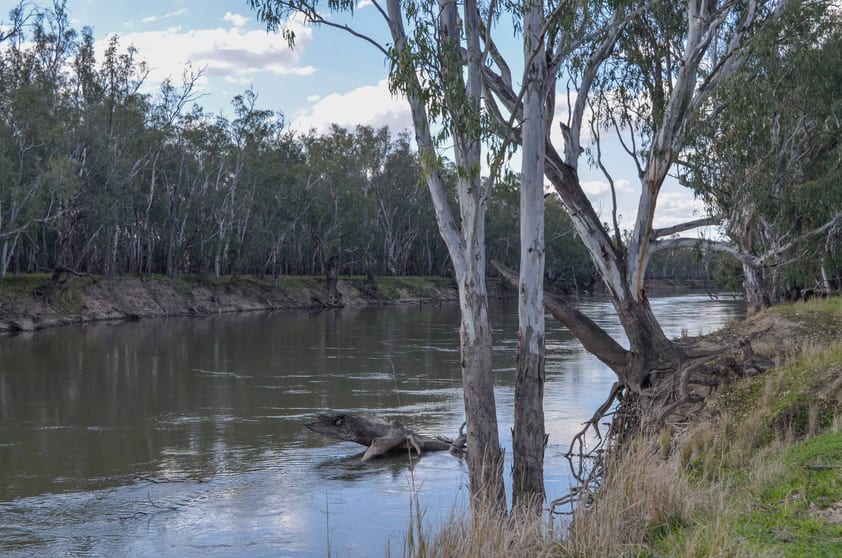 Click to view all images 201 Dellapool Road Narrandera NSW 2700 - Image 3